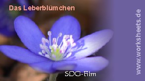 Leberblümchen-Logo