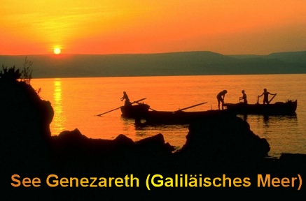 See Genezareth-Fischer